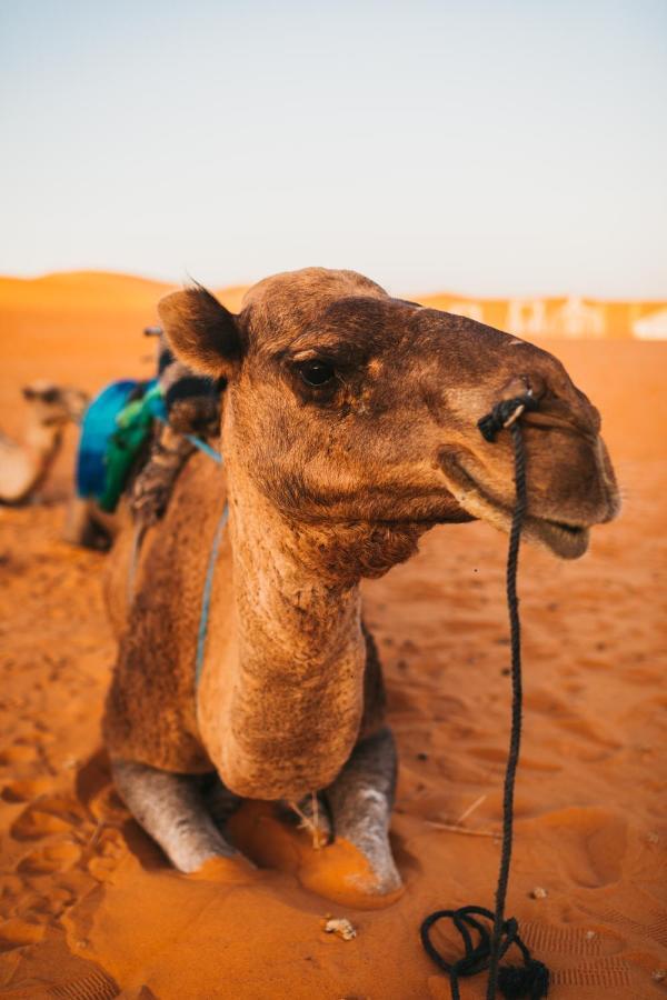 Sanmao Desert Luxury Camp Merzouga Exteriör bild